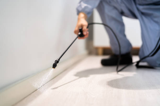 Licensed Fumigation Services service in Gulfport, MS - Nex Pest Control