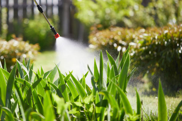 24/7 Emergency Fumigation Services experts in Gulfport, MS