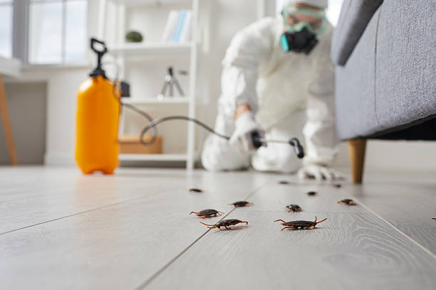 Trusted Emergency Pest Control service in Gulfport, MS - Nex Pest Control