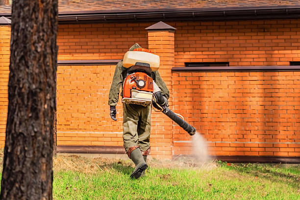 Trusted Ant Control service in Gulfport, MS - Nex Pest Control